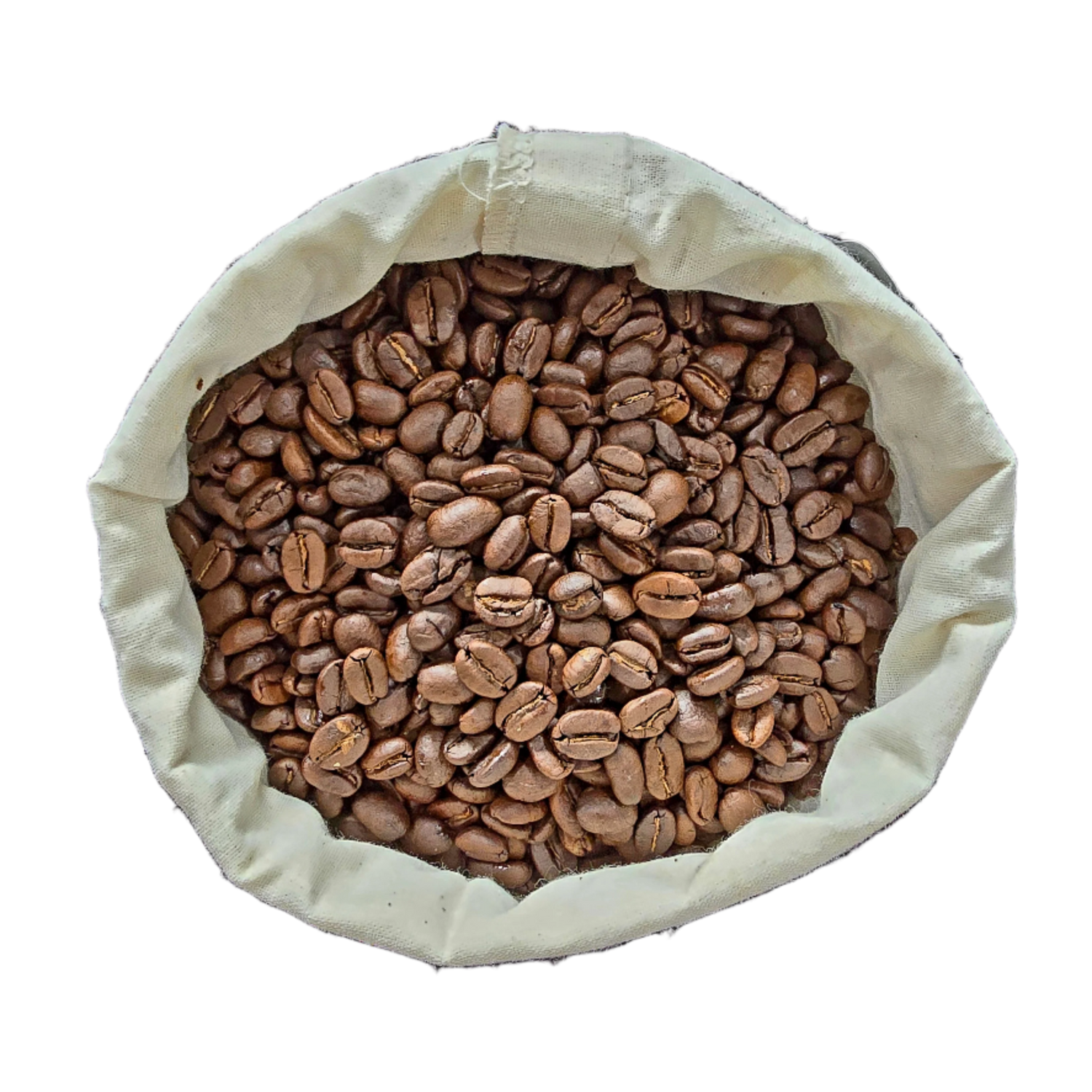 Aromatic Mexico Chiapas Turquesa HG coffee beans showcasing a rich and smooth flavor profile with notes of milk chocolate and citrus.