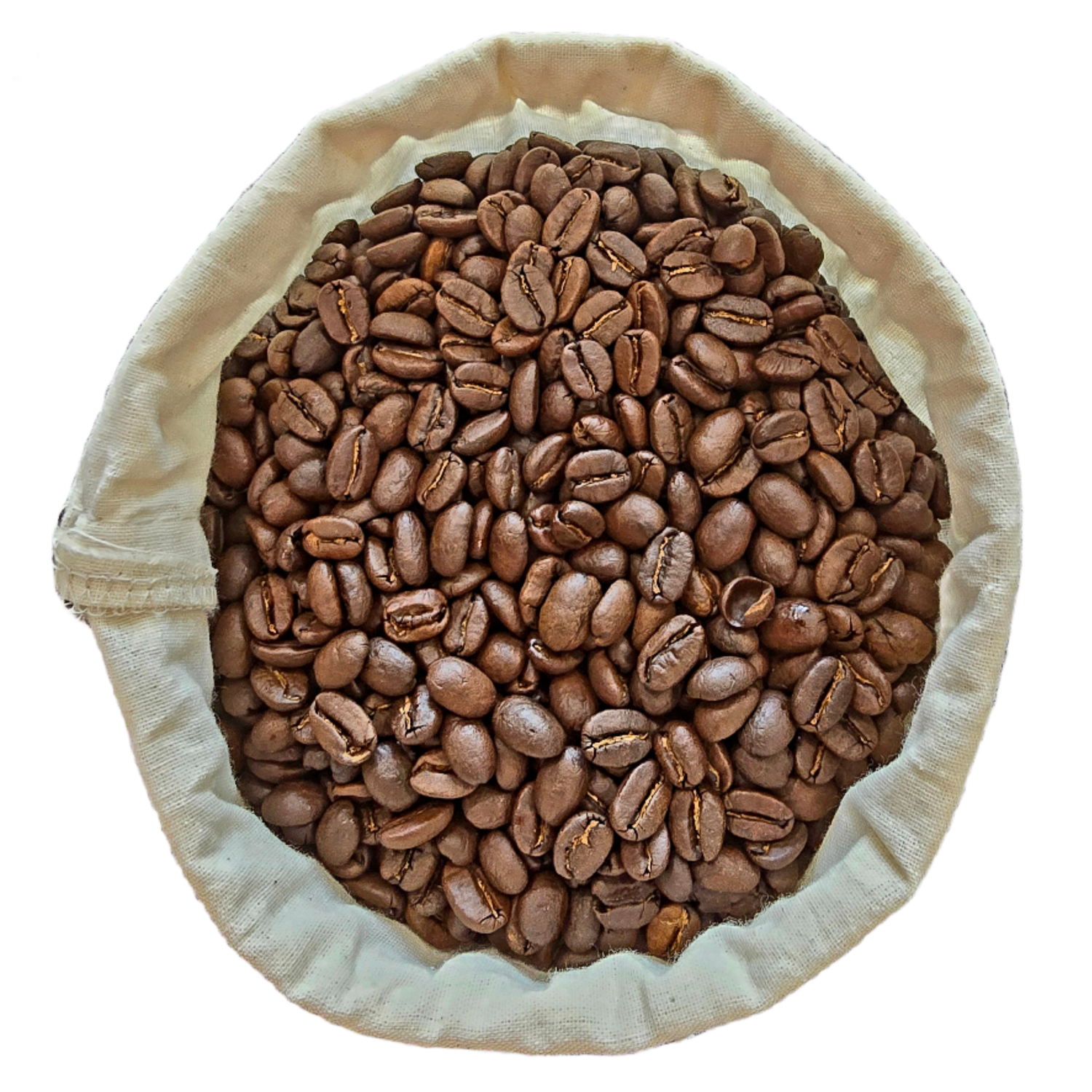 Image of Colombia Bucaramanga El Gato Supremo Coffee Beans - Medium Body with Sweet Orange, Almond, and Vanilla Notes