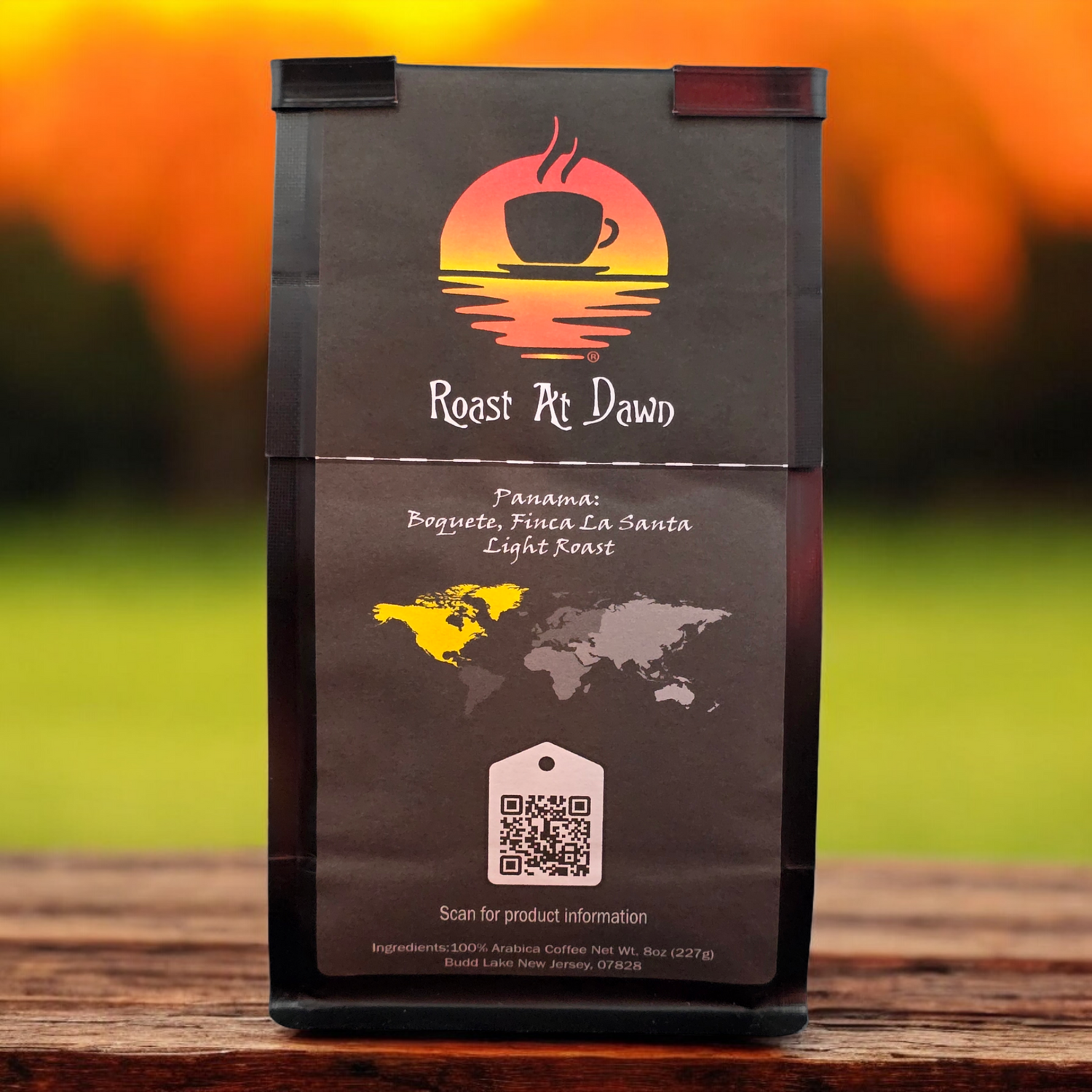 Image of Panama Boquete SHB Coffee Beans, highlighting the rich and vibrant flavors of the Boquete region.